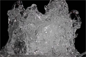 Caption : My fake plants died because I did not pretend to waterName : Deepak