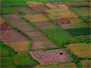 Caption : Meeting of mothersName : Rajesh Joshi
