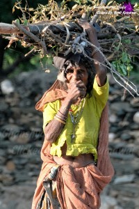 Caption : Life in Village Name : Rohit kumawat